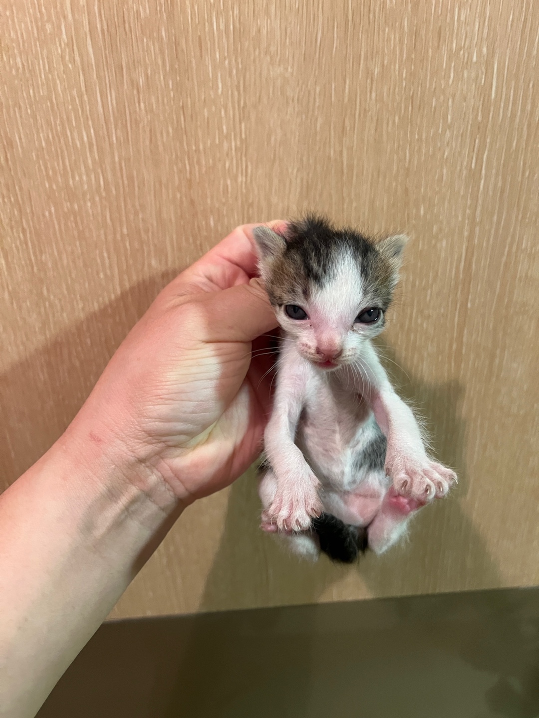 부산동물보호센터_426332202500137