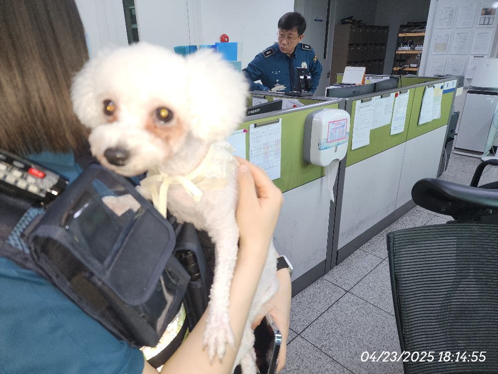 대전동물보호센터_430364202500084