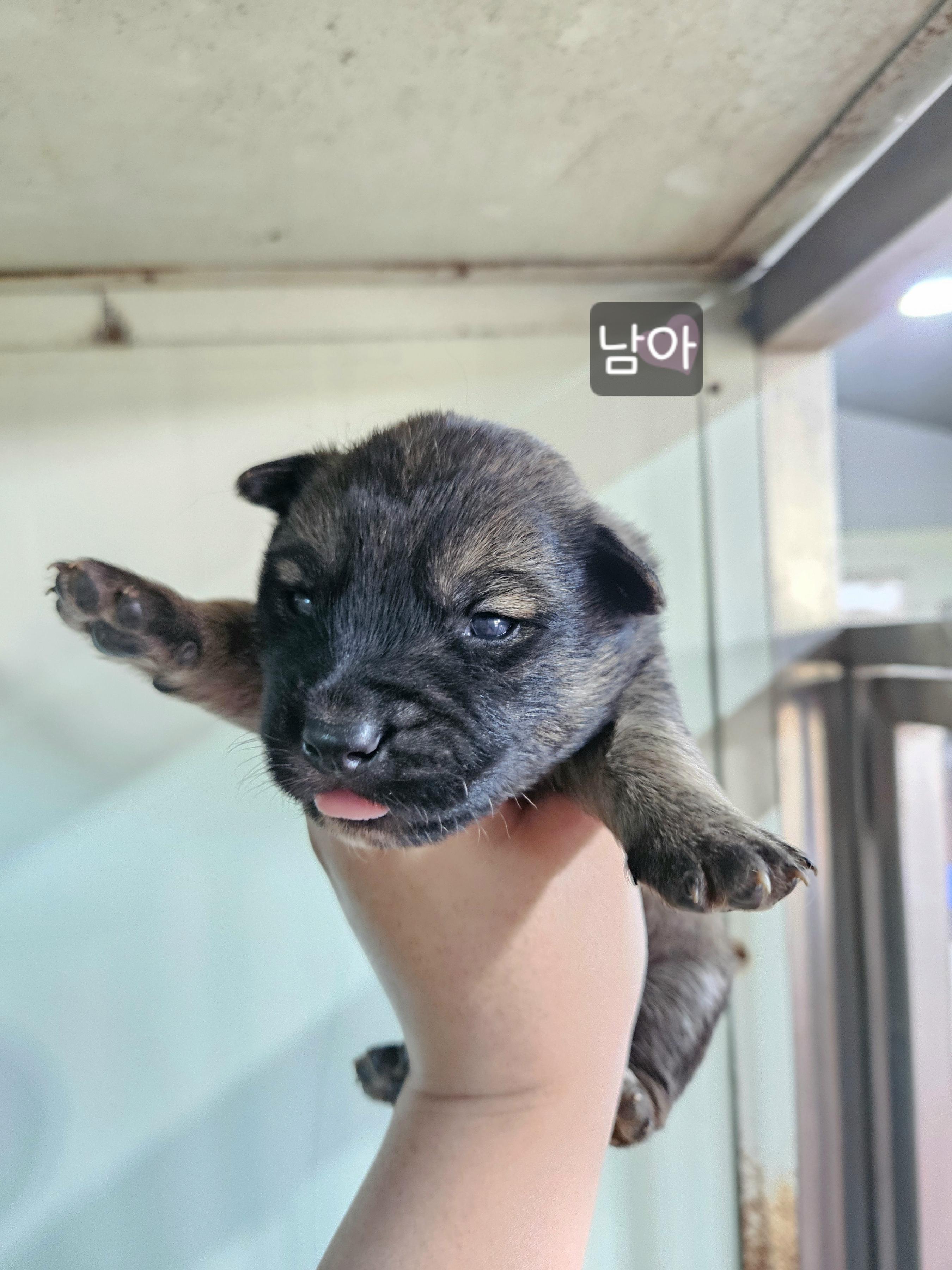 디디동물병원_428357202500475