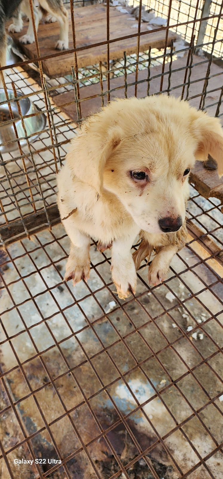 전북말산업복합센터_445471202500174