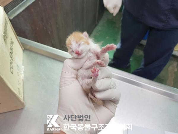 한국동물구조관리협회_441409202500600