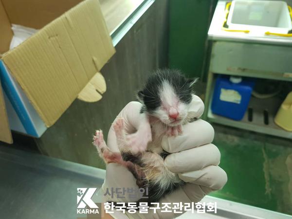 한국동물구조관리협회_441409202500607