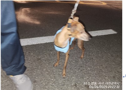 종료(반환) 휘펫의…