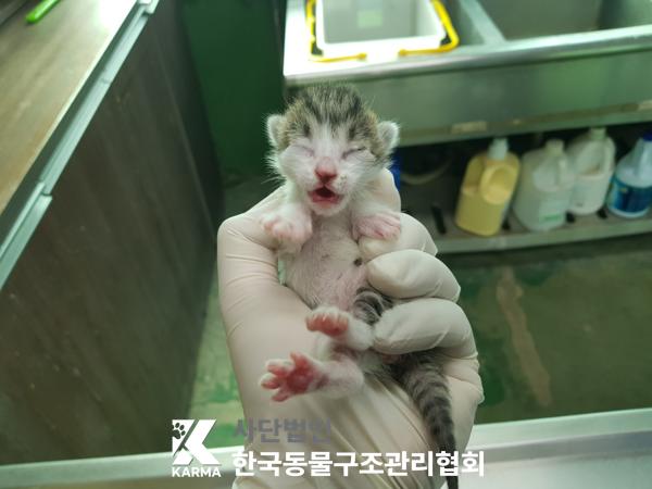한국동물구조관리협회_441409202500599