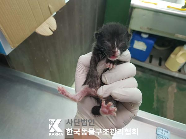 종료(자연사) 한국…