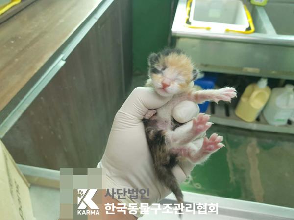 한국동물구조관리협회_441409202500598