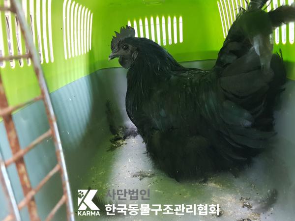 한국동물구조관리협회_411316202500229