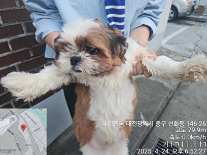 대전동물보호센터_430365202500110