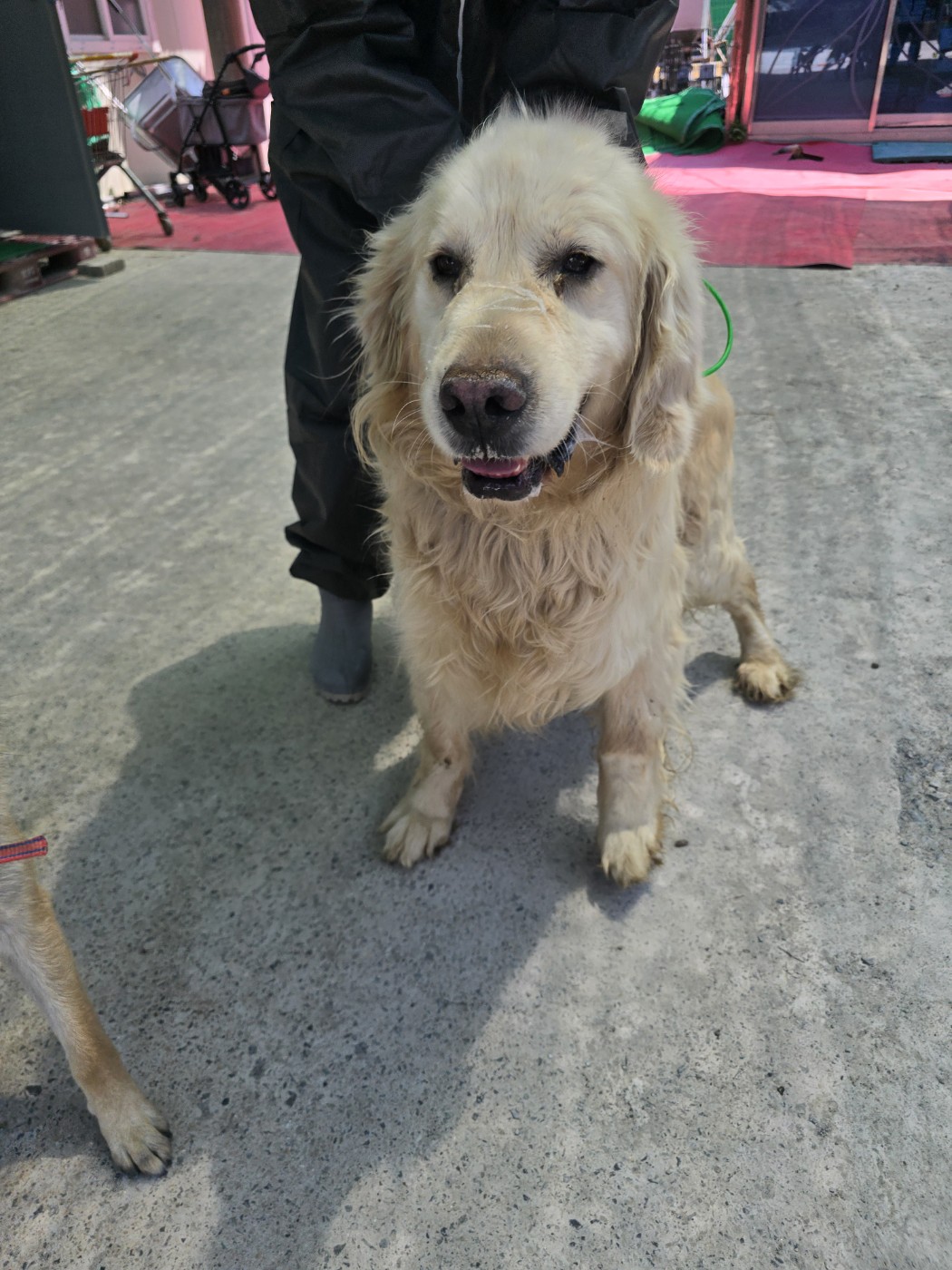밀양시 동물보호센터_448536202500347