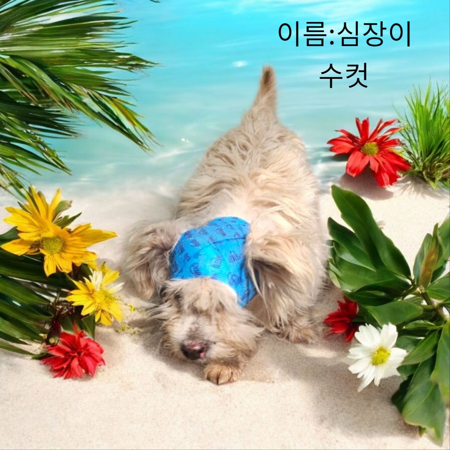 성주유기동물보호센터_447521202500189