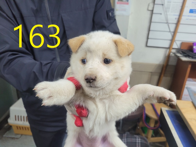 신영재동물병원_428355202500236