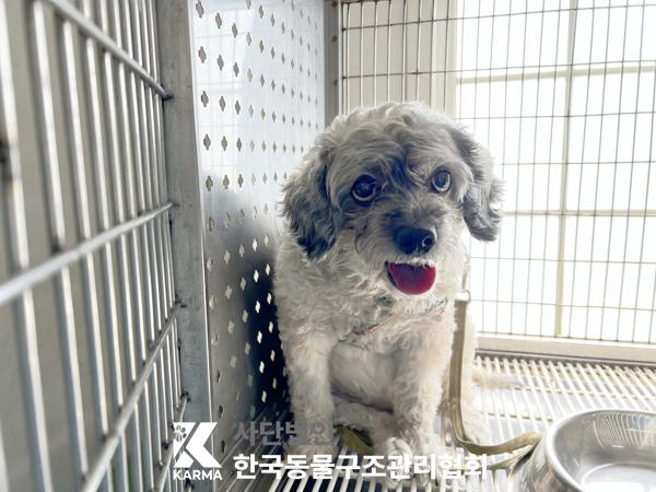 한국동물구조관리협회_411310202500325