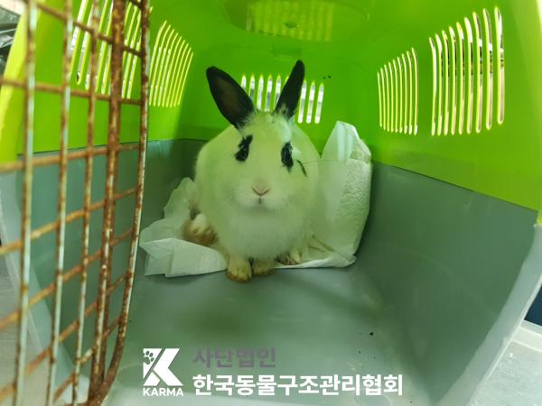 한국동물구조관리협회_411317202500162