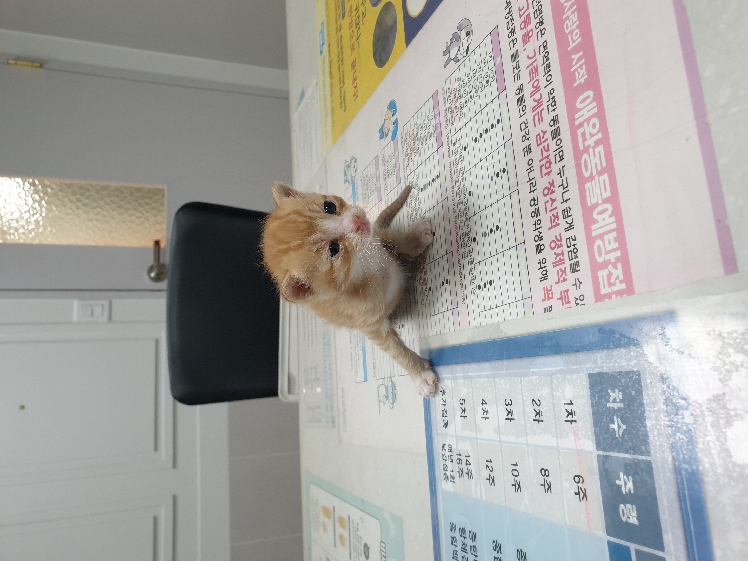대구시수의사회(평리)_427343202500328