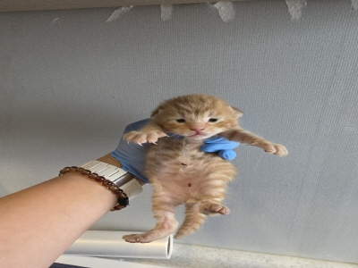 사단법인 동부_426340202500298