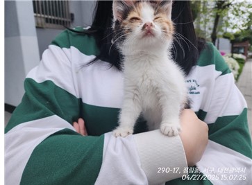 대전동물보호센터_430366202500224