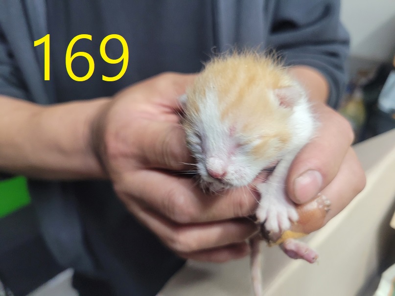 신영재동물병원_428355202500242
