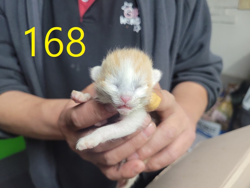 신영재동물병원_428355202500241