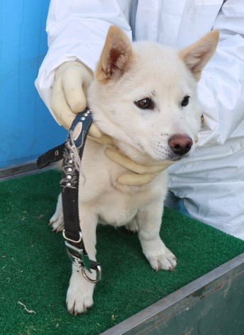제주 동물보호센터_450650202500938