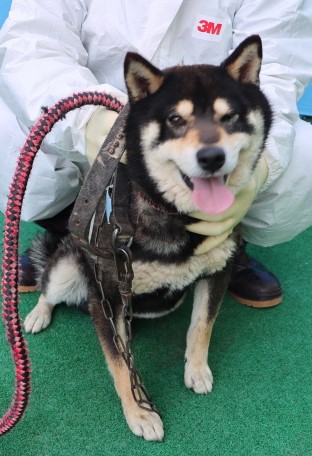 제주 동물보호센터_450650202500937