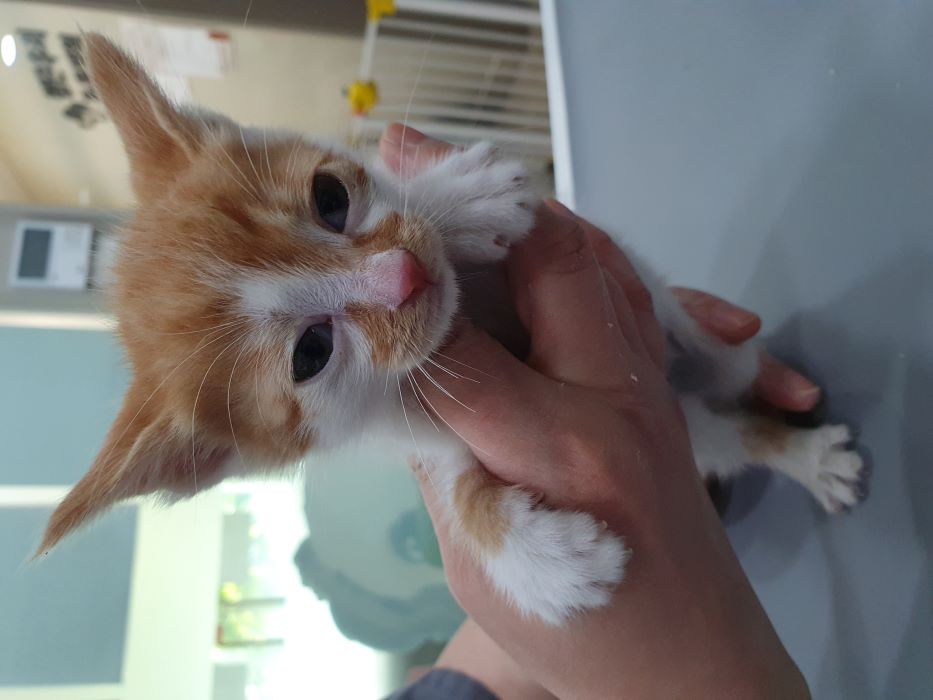 첨단우리동물병원_429363202500184