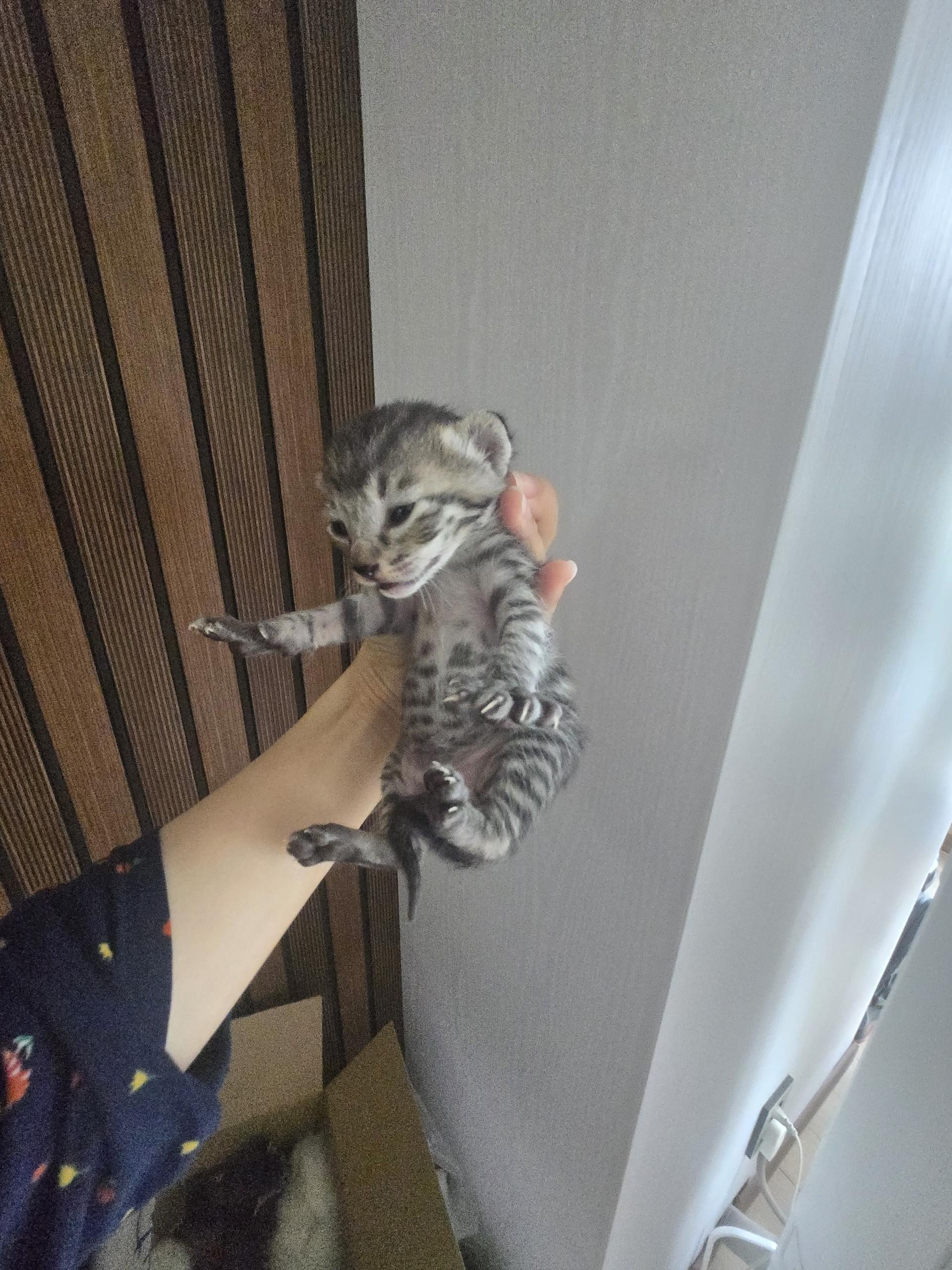 (사)하얀비둘기_426334202500058