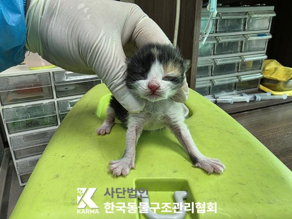 종료(자연사) 한국…