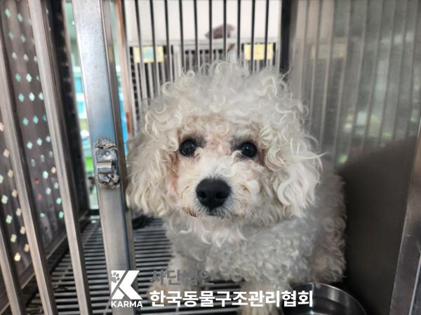 한국동물구조관리협회_411316202500235