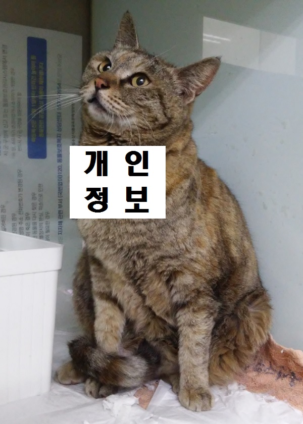 산타클라라동물병원_431369202500132