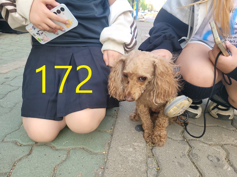 신영재동물병원_428355202500245