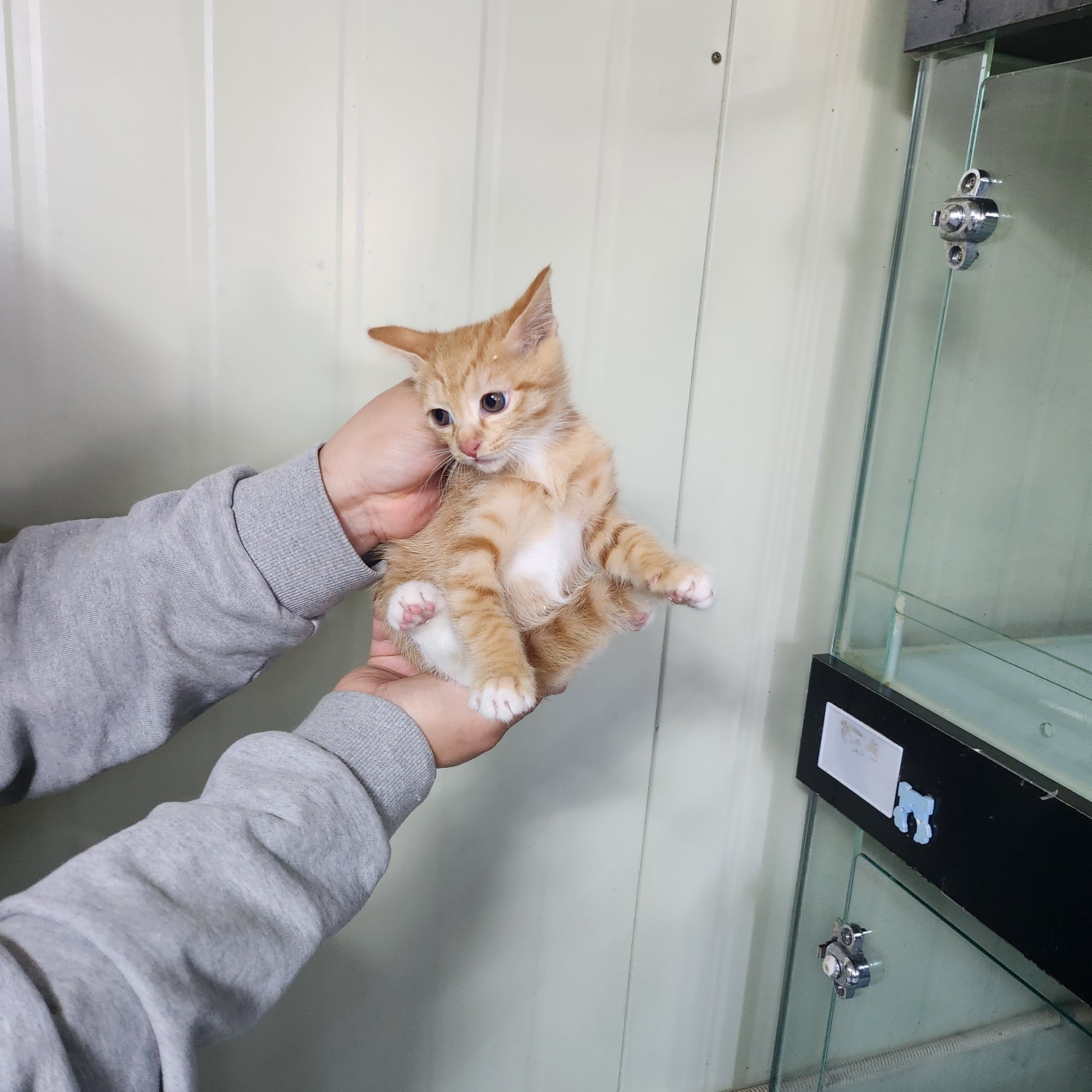 부산동물보호센터_426332202500148