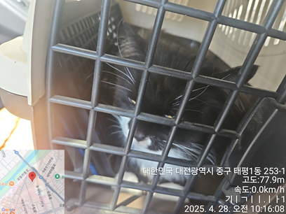 대전동물보호센터_430365202500118