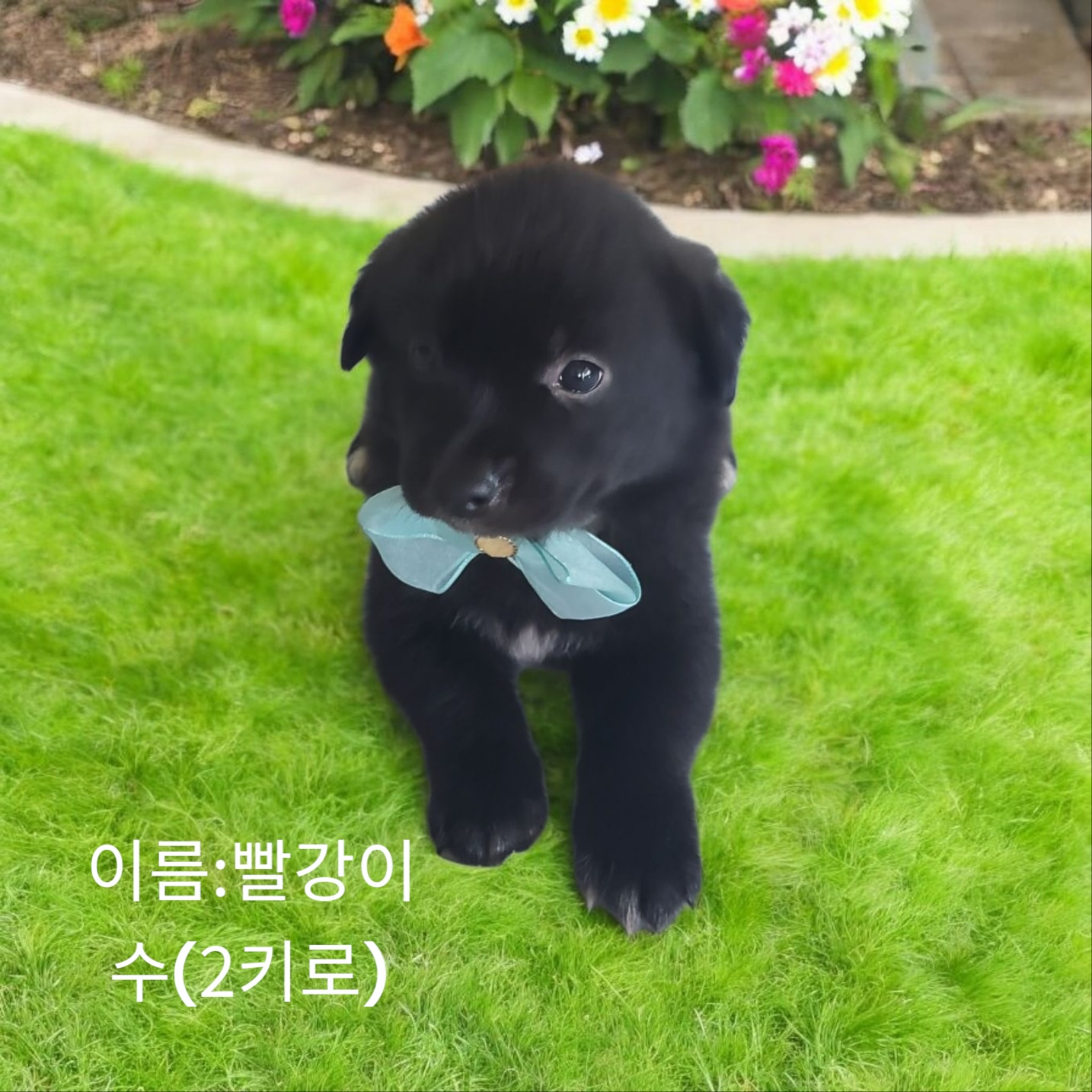 성주유기동물보호센터_447521202500198