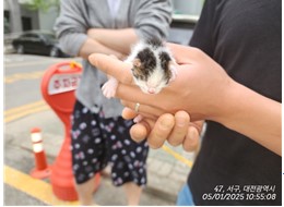 종료(자연사) 한국…