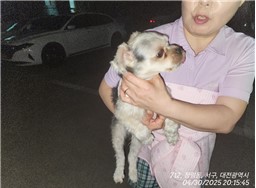 대전동물보호센터_430366202500239