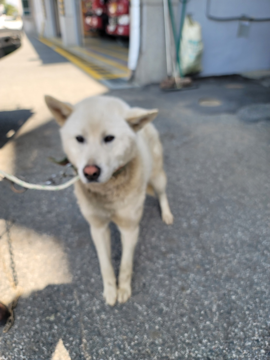괴산증평동물보호센터_443446202500215