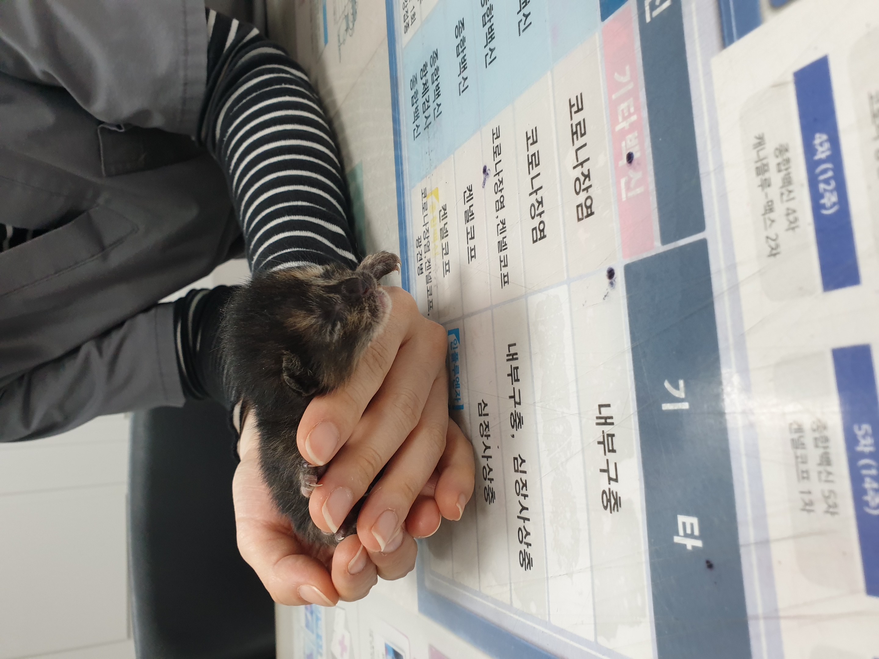 종료(자연사) 한국…