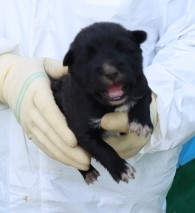 제주 동물보호센터_450650202501018