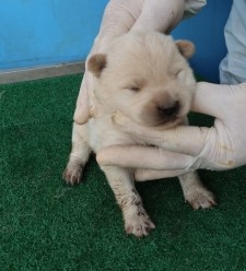제주 동물보호센터_450650202501020
