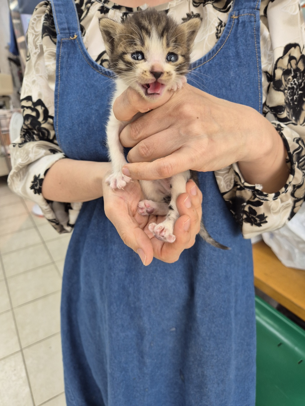 우리동물병원_428356202500634