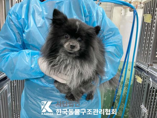 한국동물구조관리협회_411316202500243