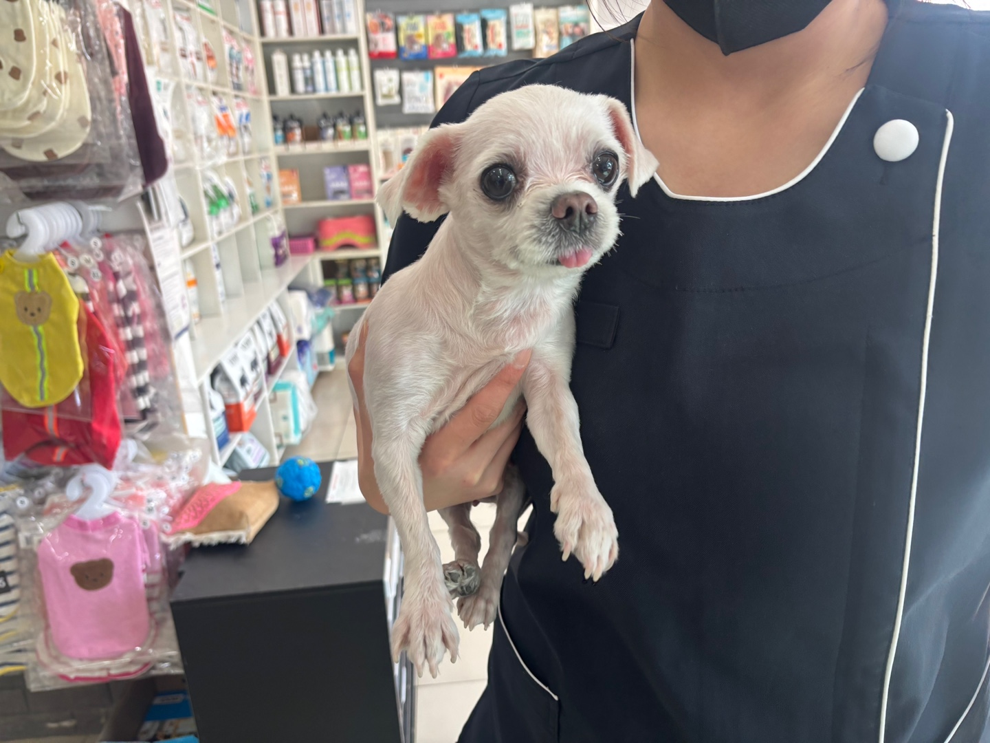 가정동물병원_428356202500637