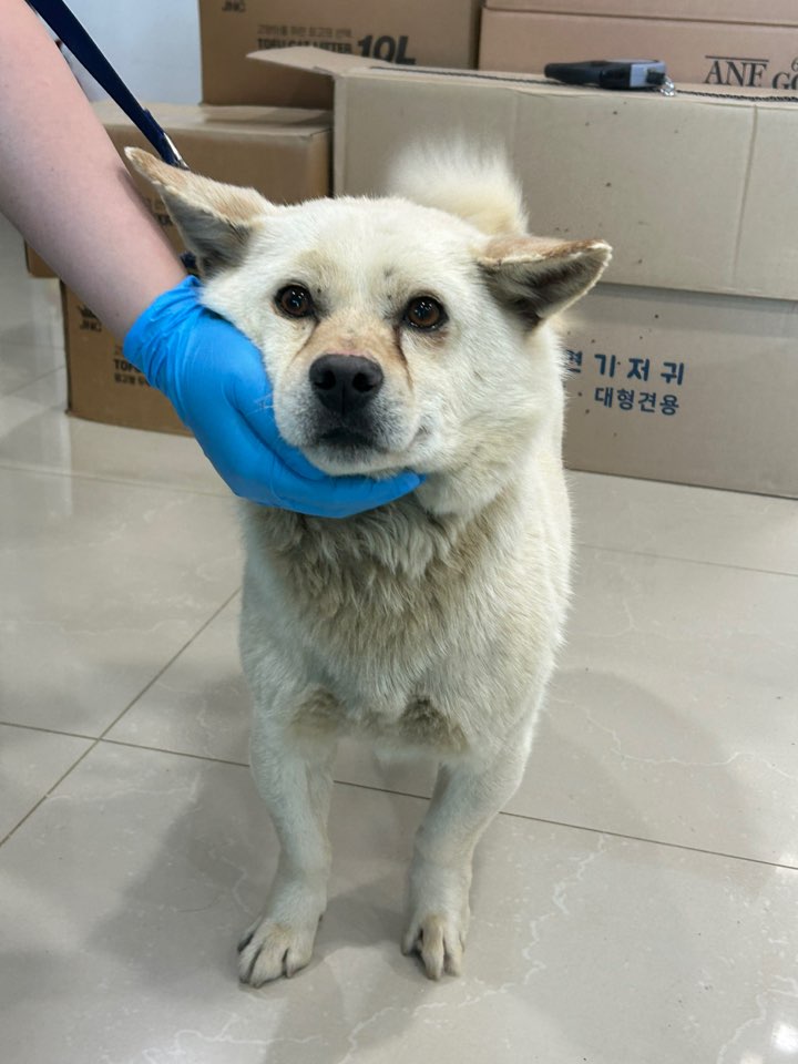 반려동물보호센터_443571202501745
