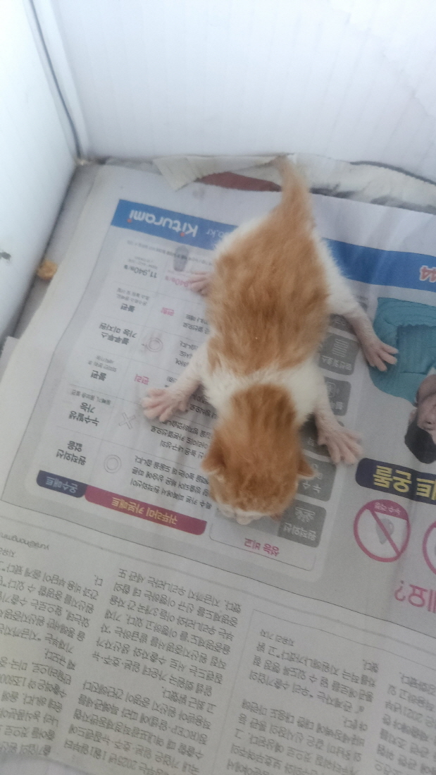 익산유기동물보호소_445468202501338