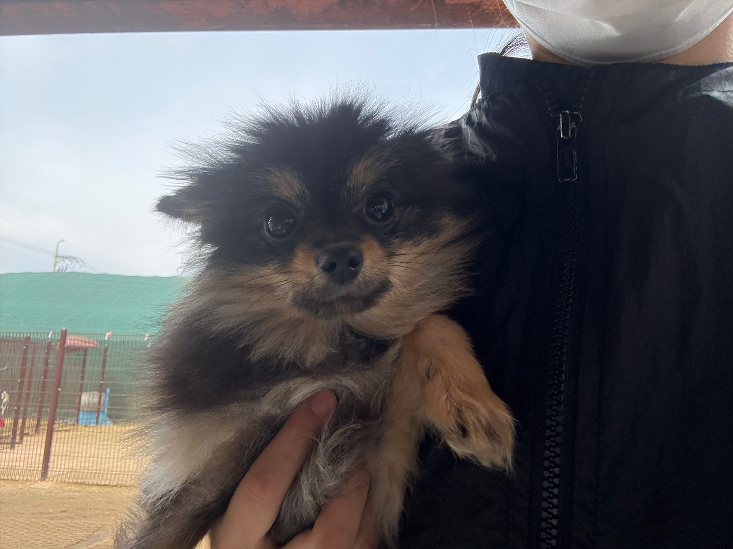 한국야생동물보호협회_441390202500248