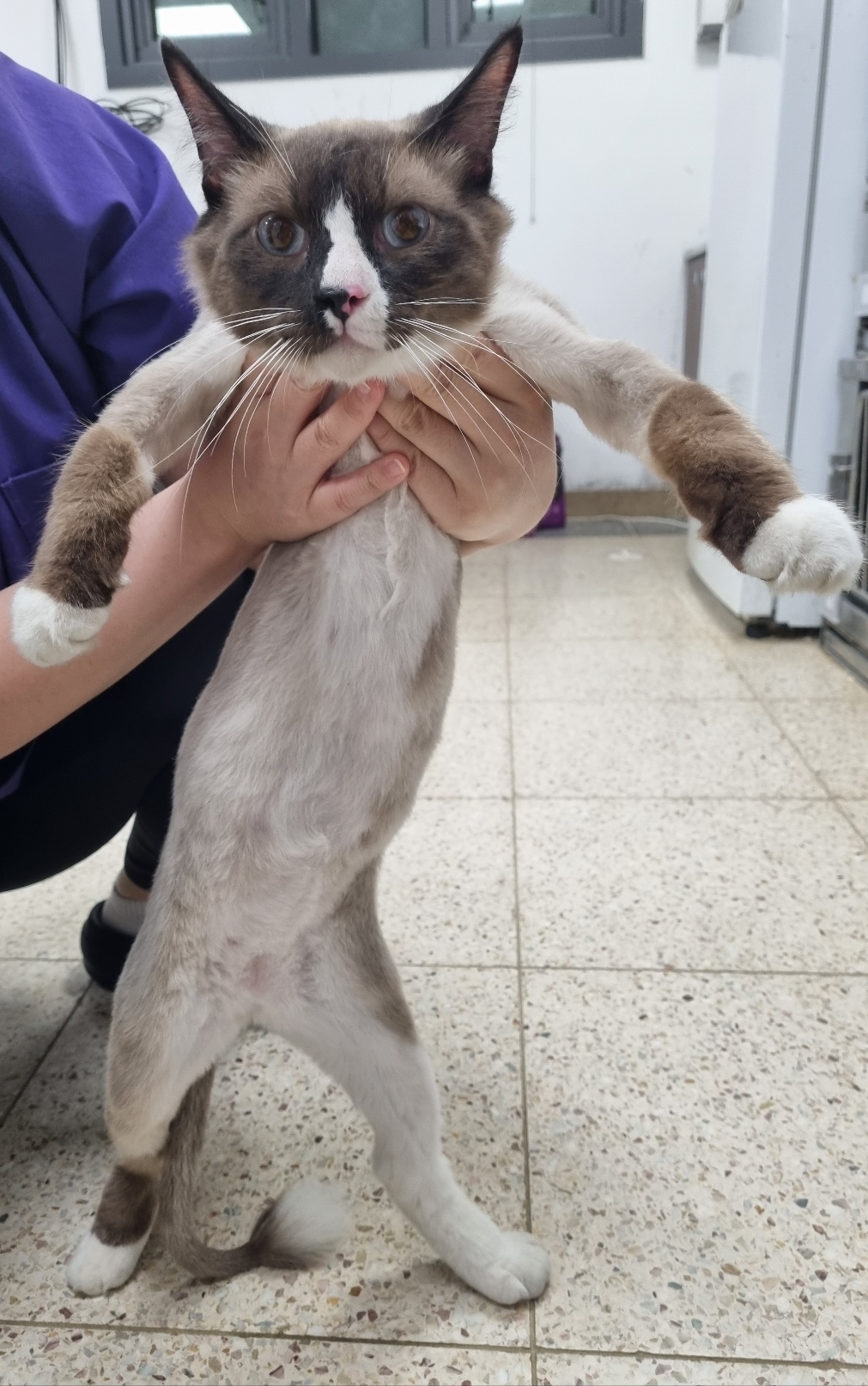 반려동물보호센터_443571202501752
