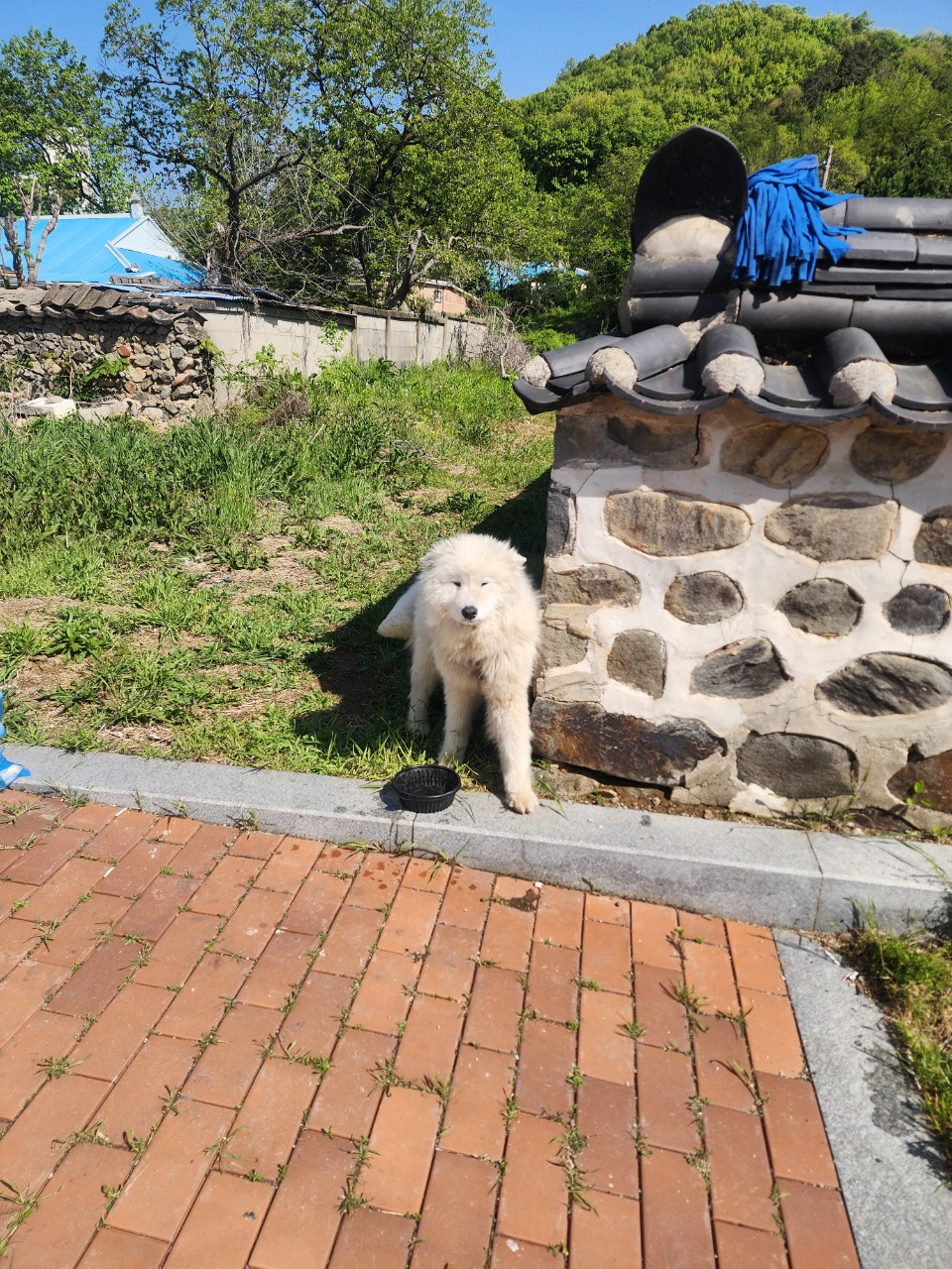 아산동물복지지원센터_444452202501285
