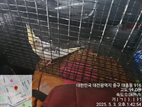 대전동물보호센터_430365202500135