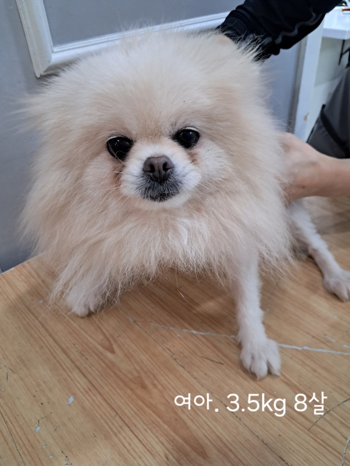옥천동물병원_443443202500406
