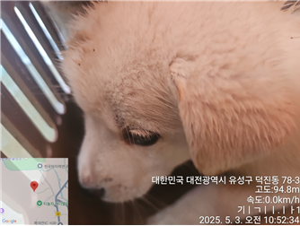 대전동물보호센터_430367202500306